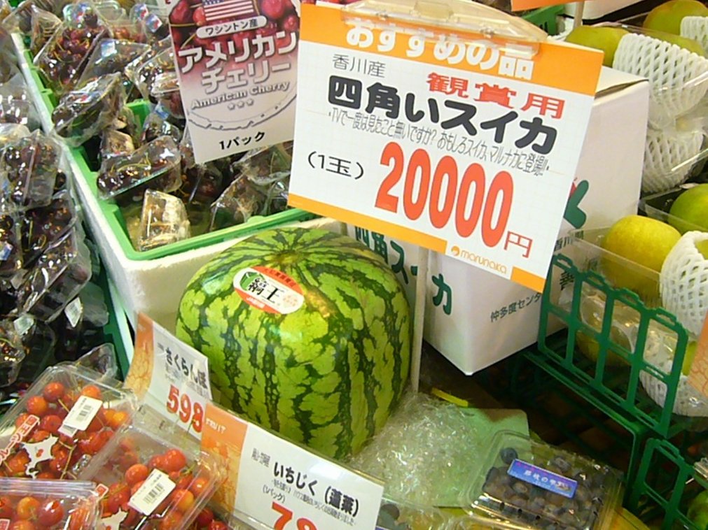 Дорогая дыня. Японские фрукты. Дорогие фрукты в Японии. Японские фрукты в магазине. Японские квадратные арбузы.