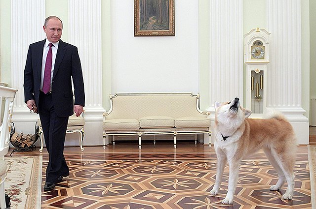 Владимир Путин с собакой Юмэ перед началом интервью в Кремле