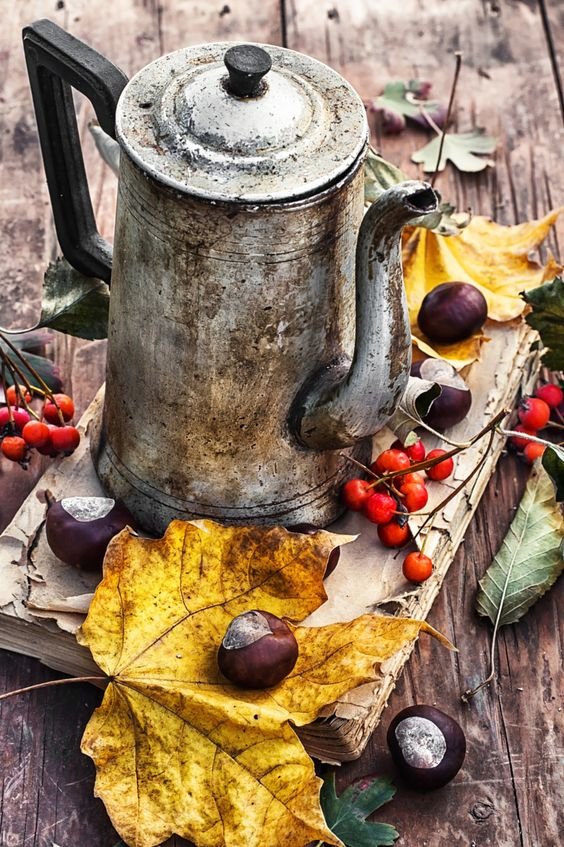Photograph autumn still life by Mykola Lunov on 500px: 