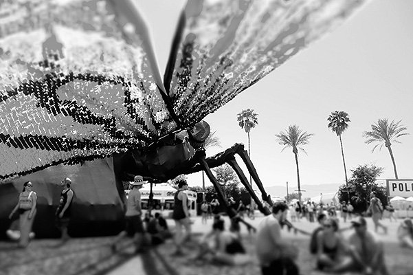 Фестиваль музыки и искусства Coachella