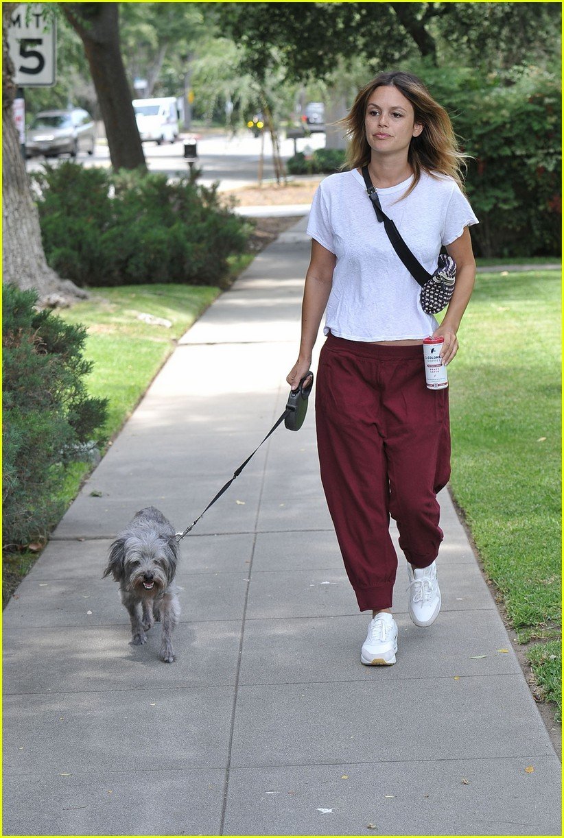 rachel bilson walks her dog 014319825