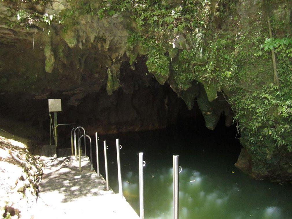 2 Приблизительный возраст пещер Вайтомо составляет более двух миллионов лет, поэтому эта пещера счит