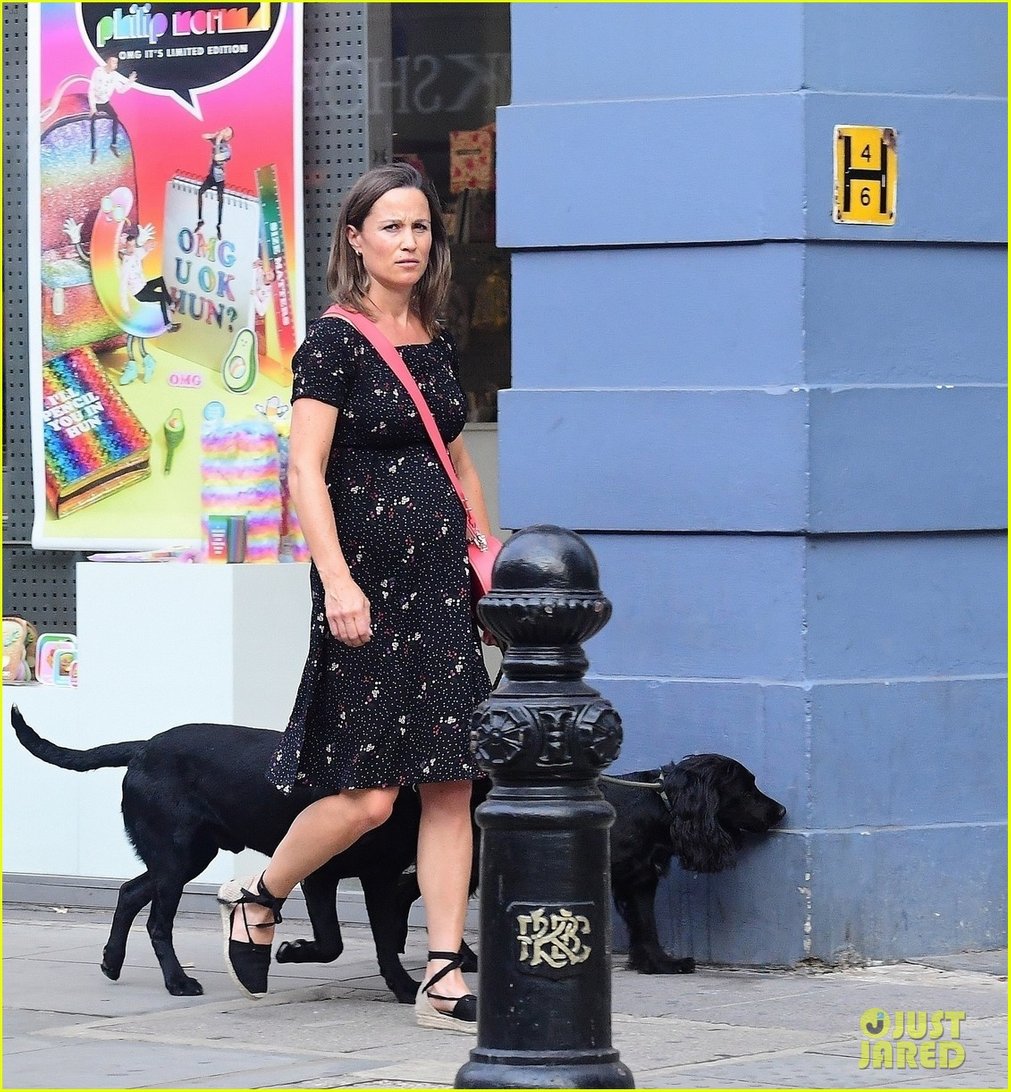 pippa middleton takes her dogs for a walk 014117667
