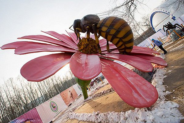 Парк гигантских насекомых