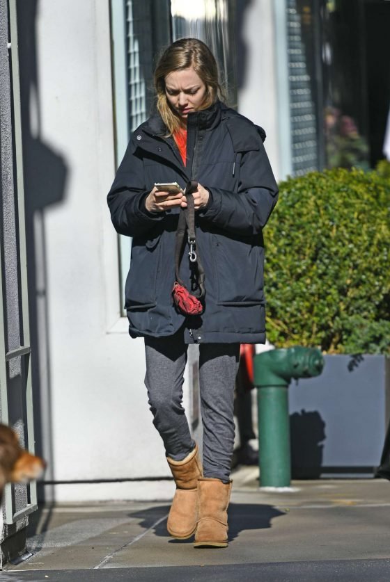 Amanda Seyfried: Walks her dog in New York -01