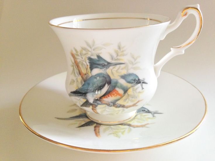 https://i.pinimg.com/736x/14/f1/62/14f16217e42643cced2650618333cd16--china-tea-sets-kingfisher.jpg